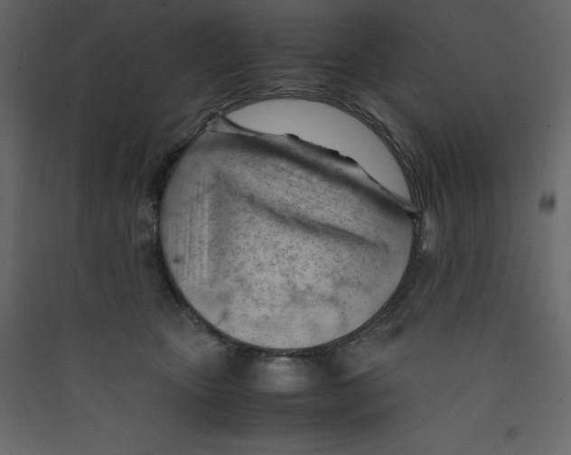 X0000089450467200707131930