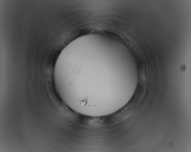 X0000089450468200707131930