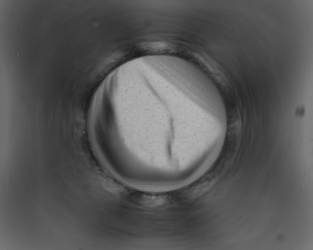 X0000089450469200707131930