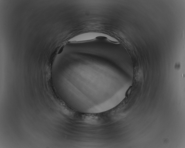 X0000089450471200707131930