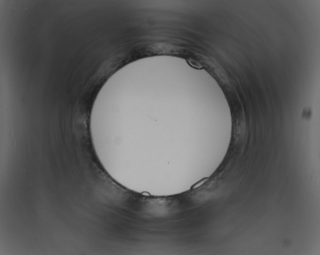 X0000089450473200707131930