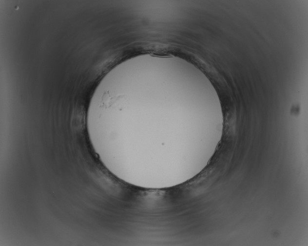 X0000089450474200707131931