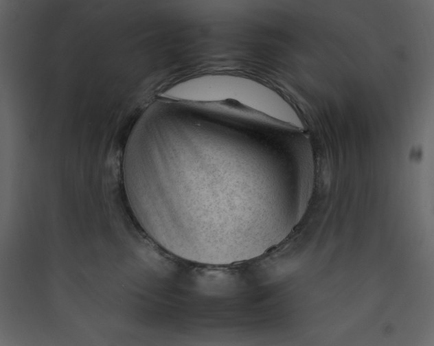 X0000089450475200707131931