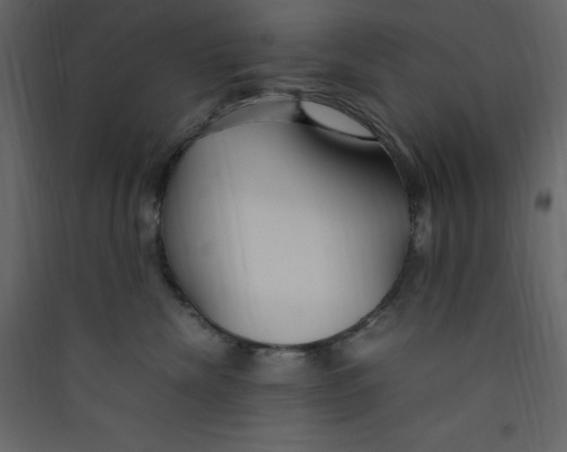 X0000089450476200707131931