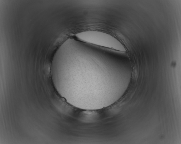 X0000089450477200707131931