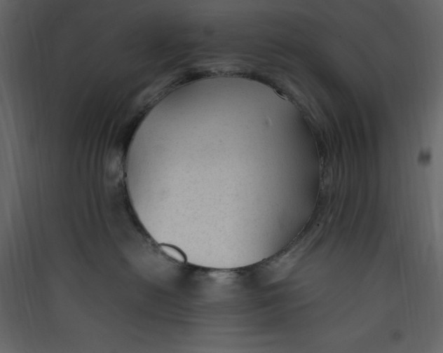 X0000089450478200707131931