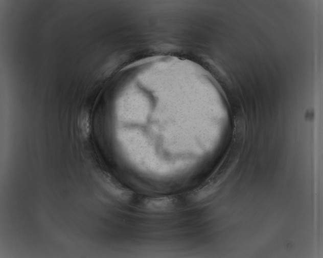 X0000089450479200707131931