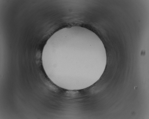 X0000089450480200707131931