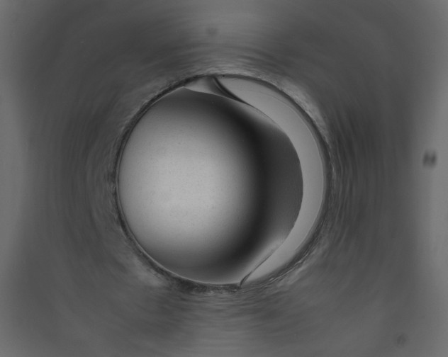 X0000089450481200707131930