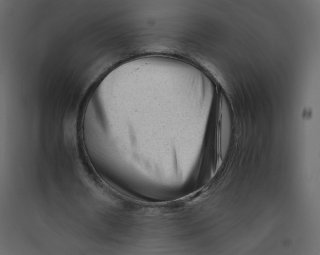 X0000089450482200707131930