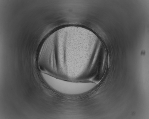 X0000089450483200707131930