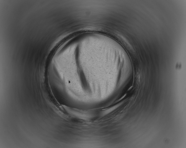 X0000089450484200707131930