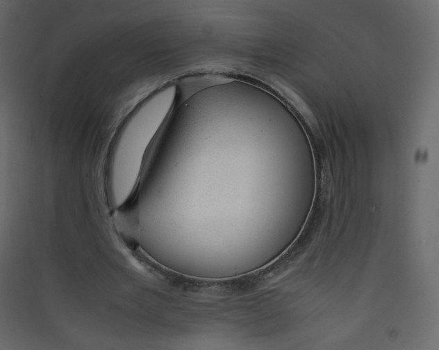 X0000089450485200707131930