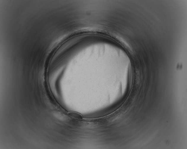 X0000089450486200707131930