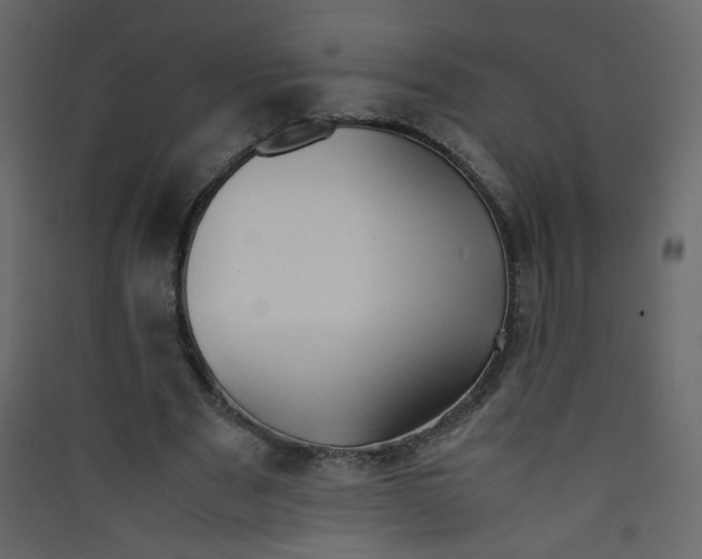 X0000089450489200707131930