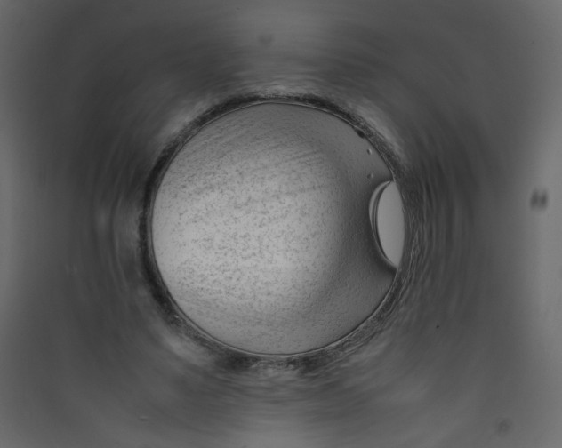 X0000089450491200707131930