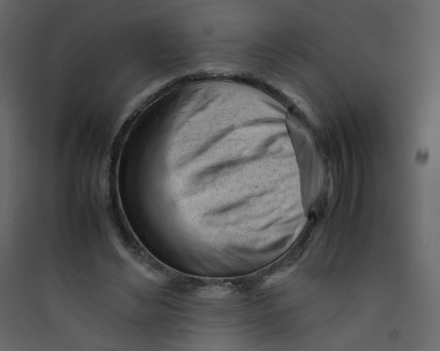 X0000089450492200707131930