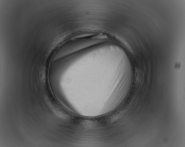 X0000089450494200707131930