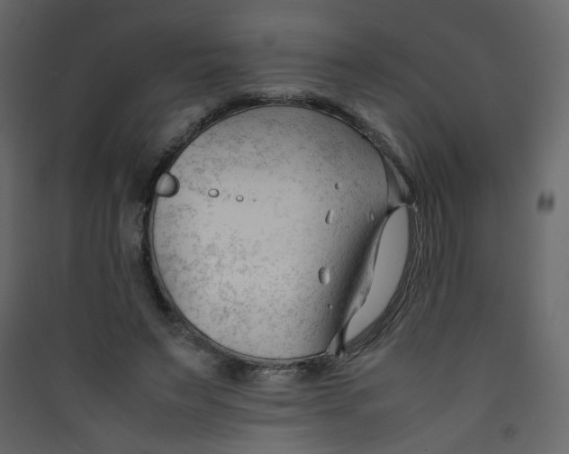 X0000089450495200707131930