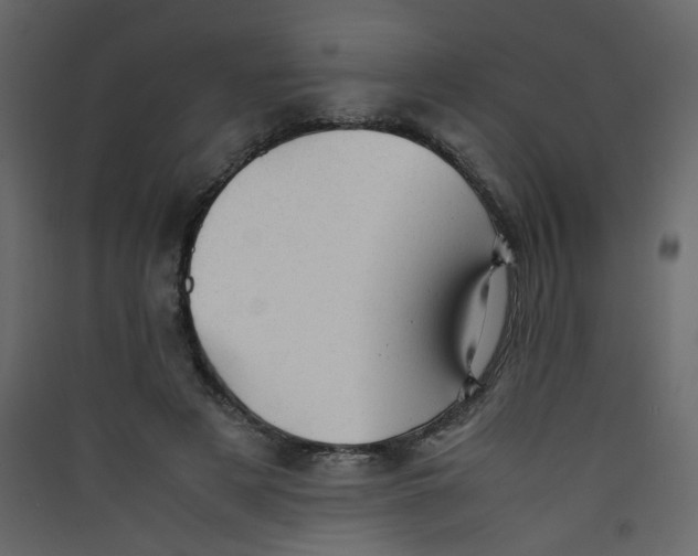 X0000089450497200707131930