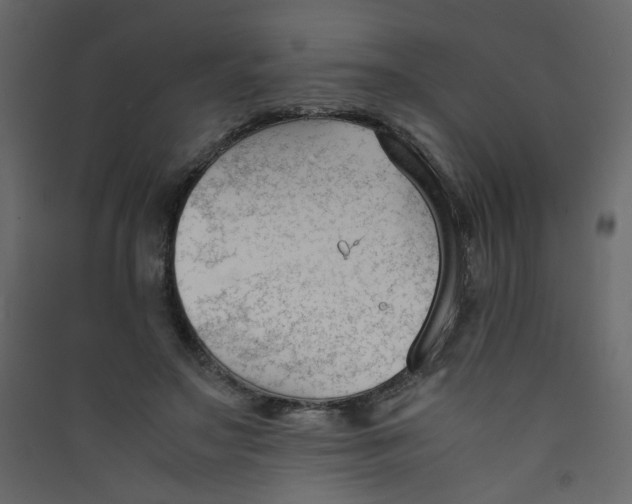 X0000089450499200707131930