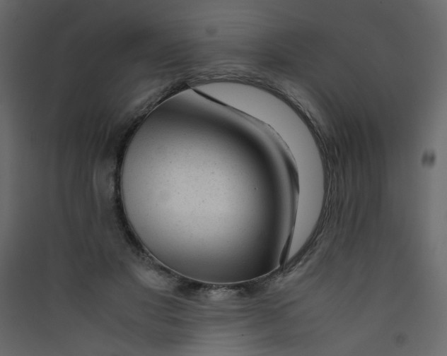 X0000089450501200707131930