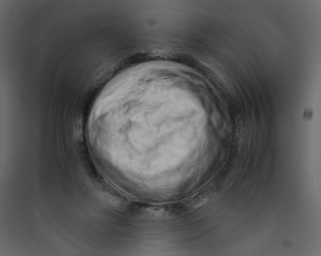 X0000089450502200707131930