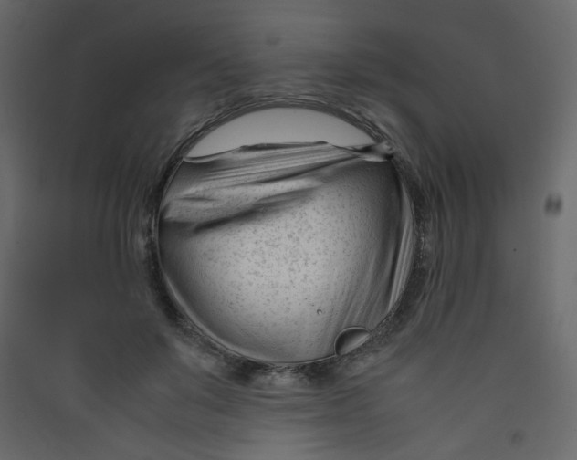 X0000089450503200707131930