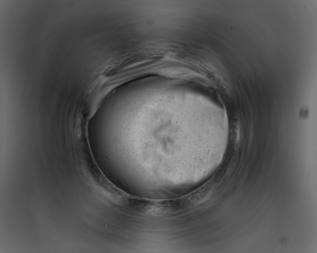 X0000089450504200707131930