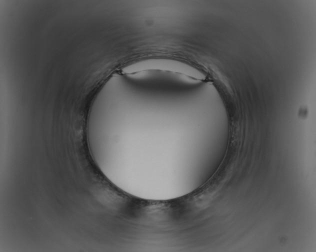 X0000089450505200707131930