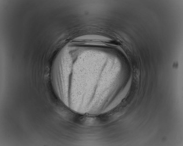 X0000089450507200707131929