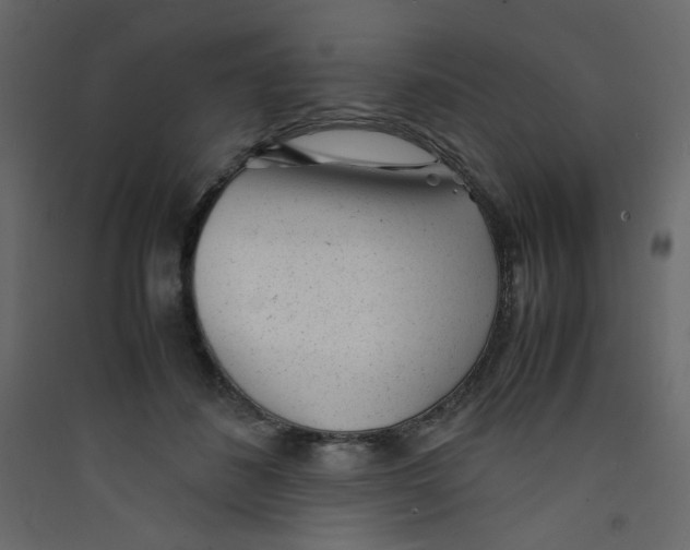 X0000089450508200707131929