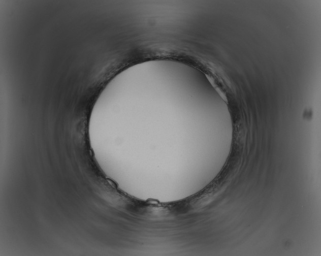 X0000089450509200707131929