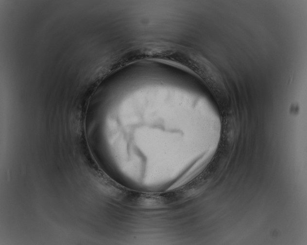 X0000089450510200707131929