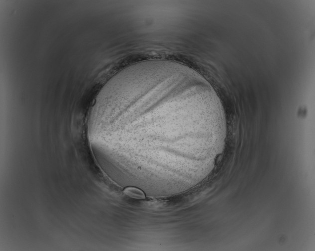 X0000089450511200707131929