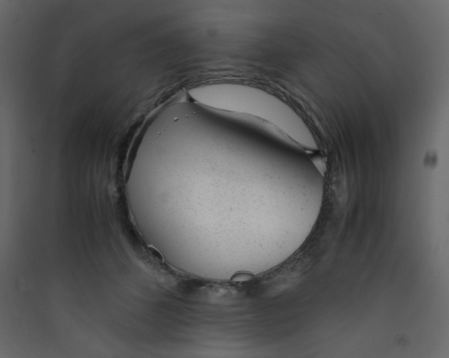 X0000089450512200707131929