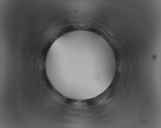 X0000089450515200707131929