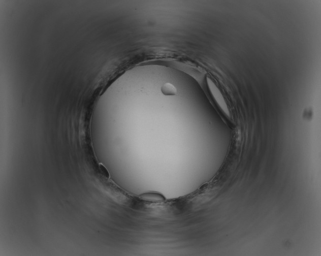 X0000089450516200707131929