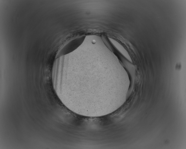 X0000089450517200707131929