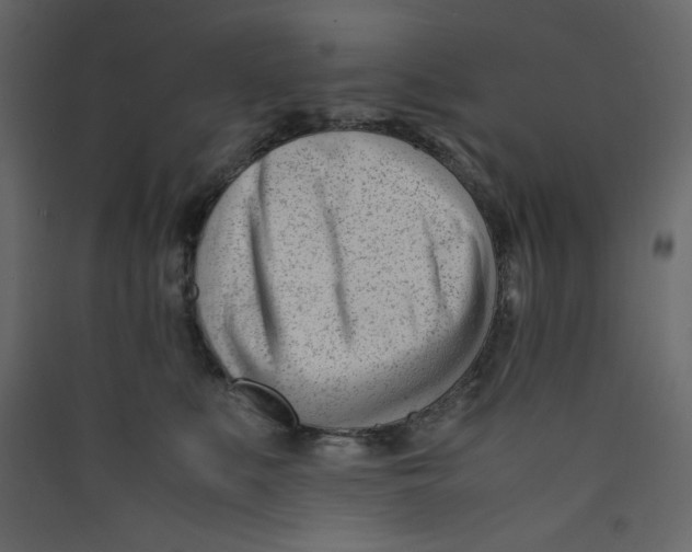 X0000089450519200707131929