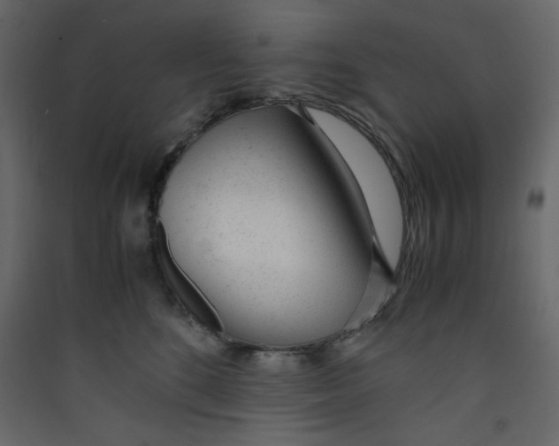 X0000089450520200707131929