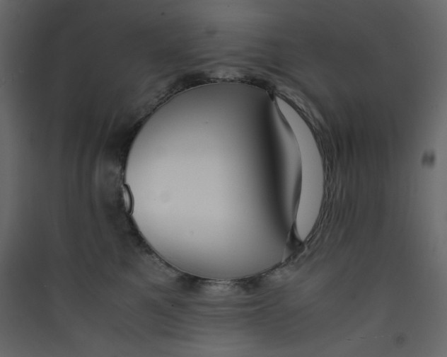 X0000089450521200707131929