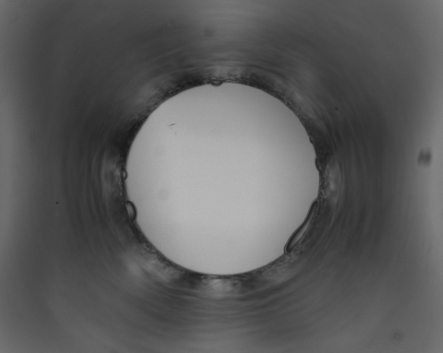 X0000089450522200707131929