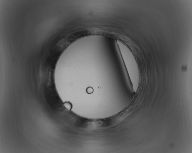 X0000089450525200707131929