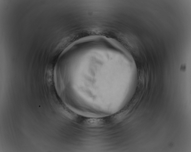 X0000089450526200707131929