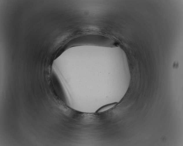 X0000089450528200707131929