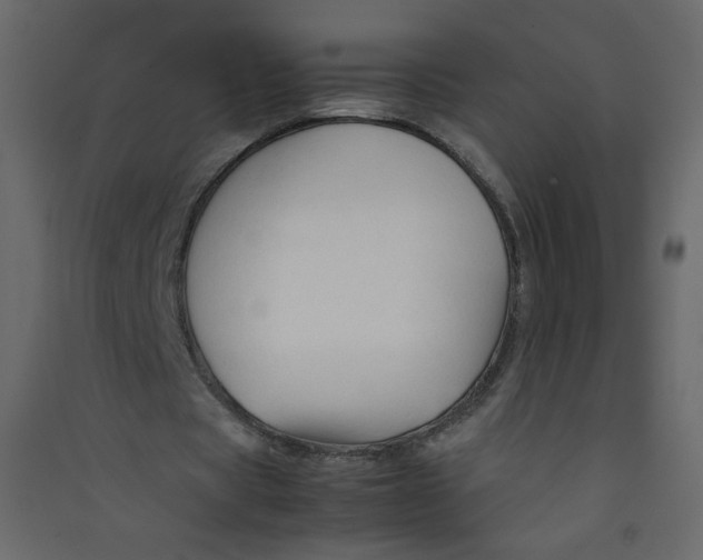 X0000089450529200707131929