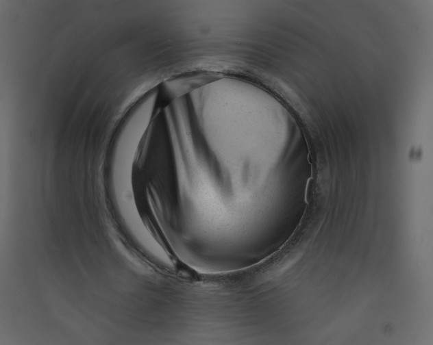 X0000089450530200707131929