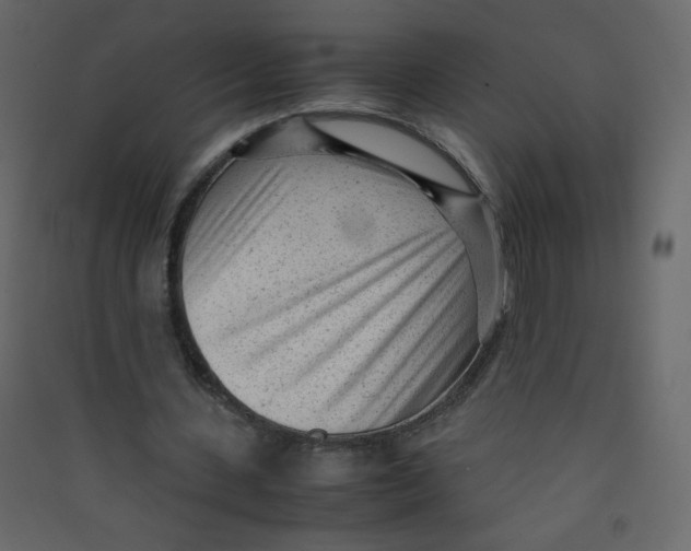 X0000089450531200707131929