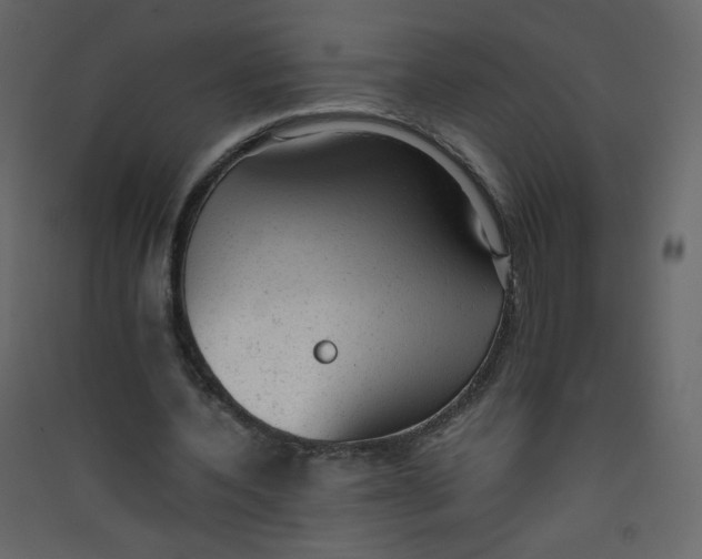 X0000089450532200707131929